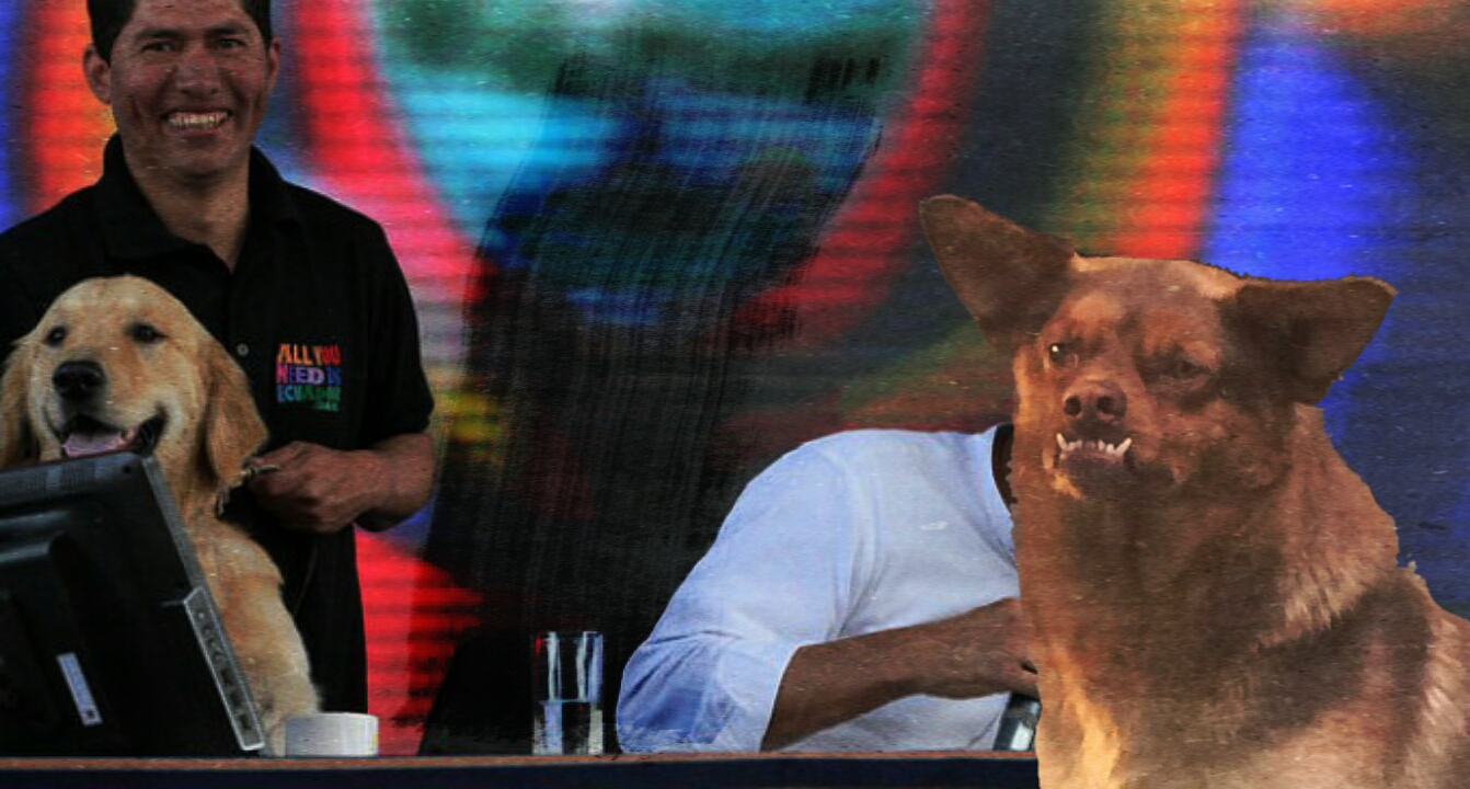 Chilaquil asistirá a posesión de Lenín Moreno en representación de México